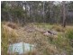 Lot 1334 Shark Creek Road, Shark Creek NSW 2463