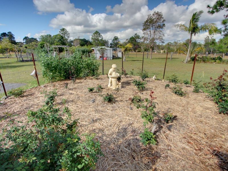 600 Brooms Head Road, Gulmarrad NSW 2463