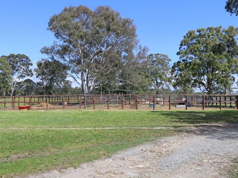 Clarence P Brooms Head Road, Taloumbi NSW 2463