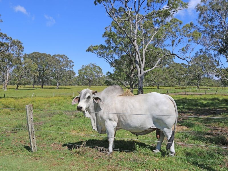 Clarence P Brooms Head Road, Taloumbi NSW 2463