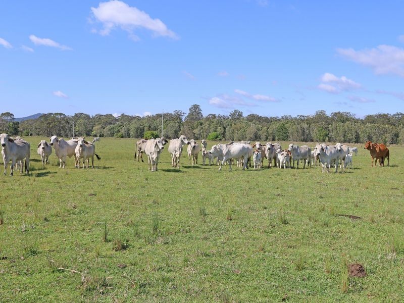 Clarence P Brooms Head Road, Taloumbi NSW 2463