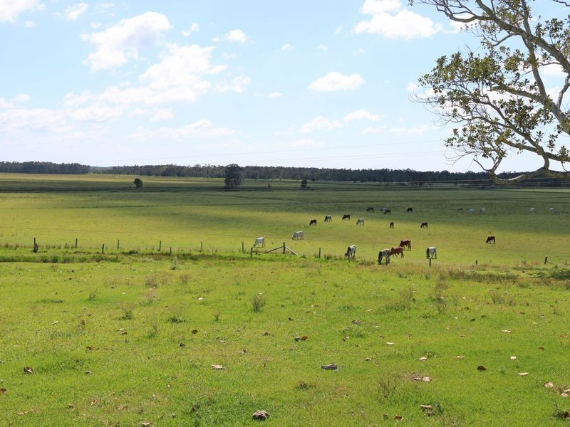 Clarence P Brooms Head Road, Taloumbi NSW 2463