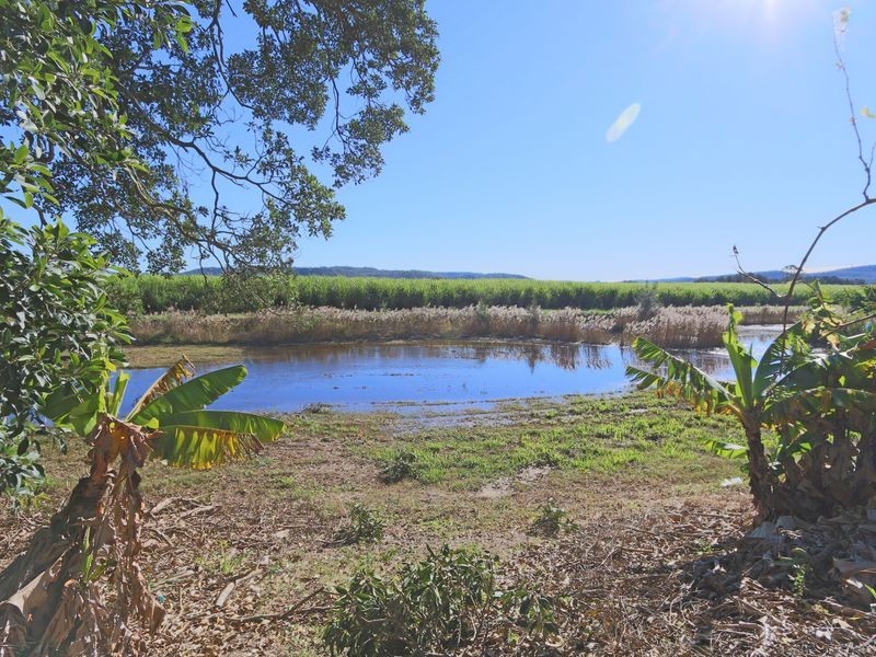 29 Palm Lane, Harwood Island NSW 2465