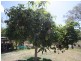 Lot 2 Pacific Highway, Tyndale NSW 2460