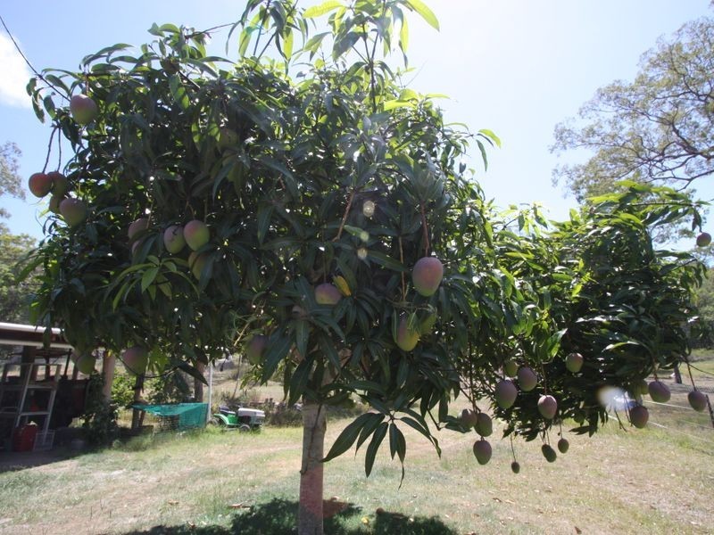 Lot 2 Pacific Highway, Tyndale NSW 2460