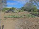 333 Weir Road Sportsmans Creek, Lawrence NSW 2460