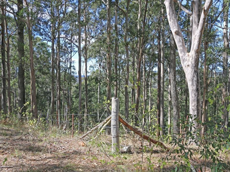 75 Stokes Lane, Gulmarrad NSW 2463