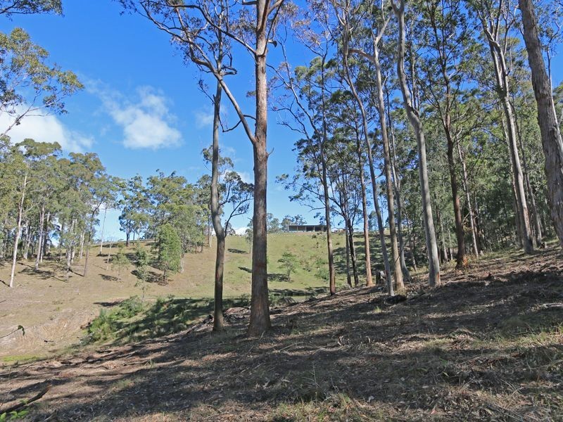 75 Stokes Lane, Gulmarrad NSW 2463