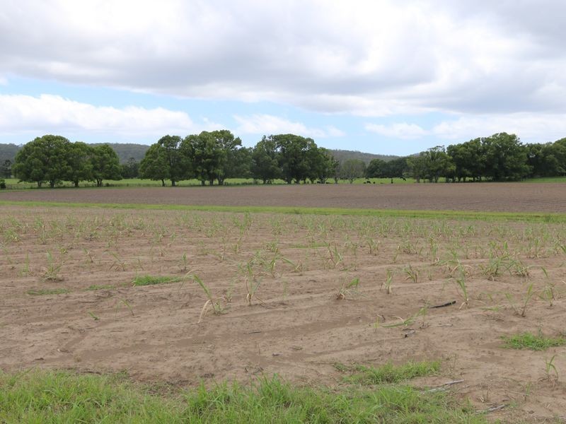 Lot 2 359 South Arm School Road, Woodford NSW 2463