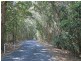 Lot 4 Iluka Road, Iluka NSW 2466