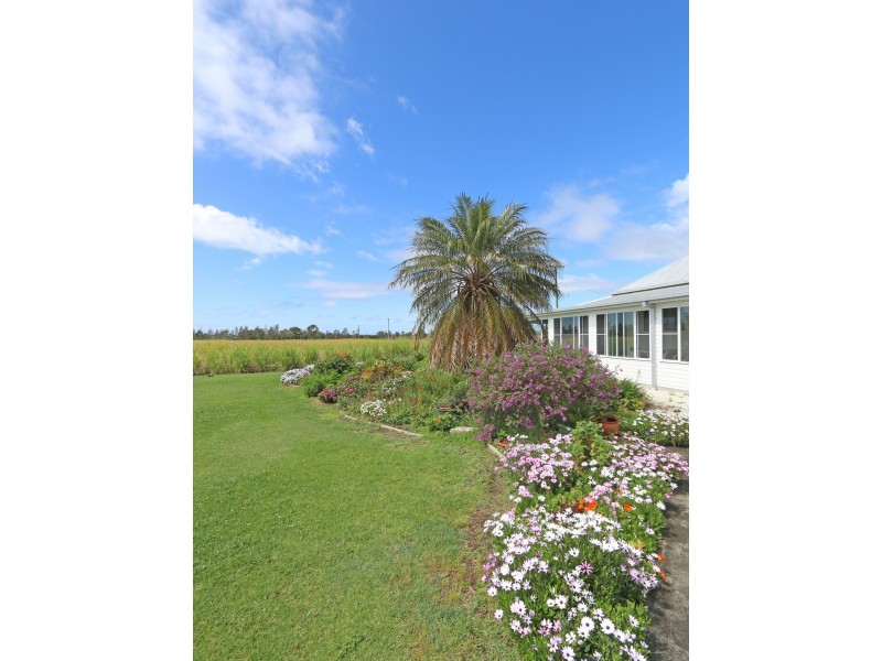 156 Amos Lane, Palmers Channel NSW 2463