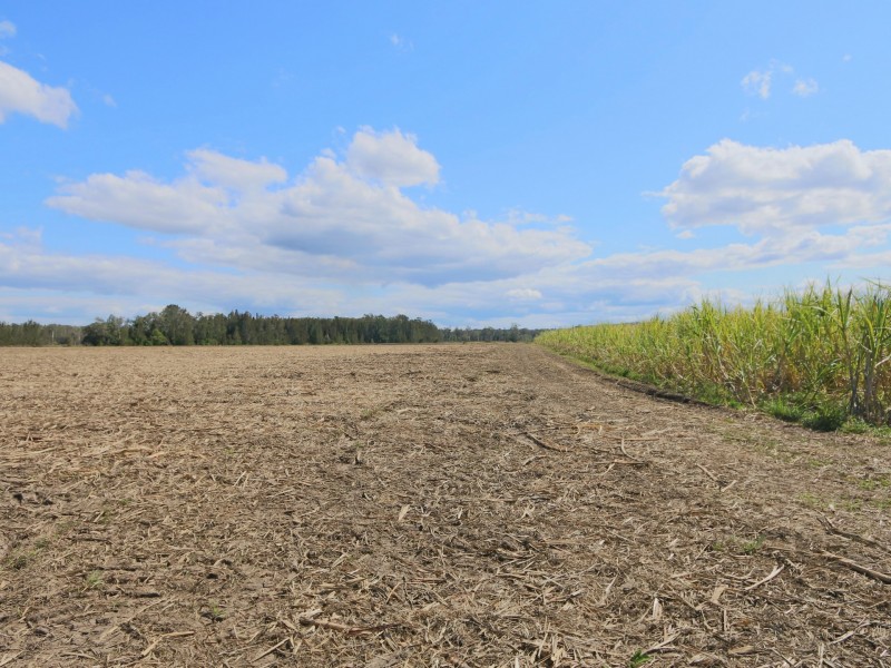 156 Amos Lane, Palmers Channel NSW 2463