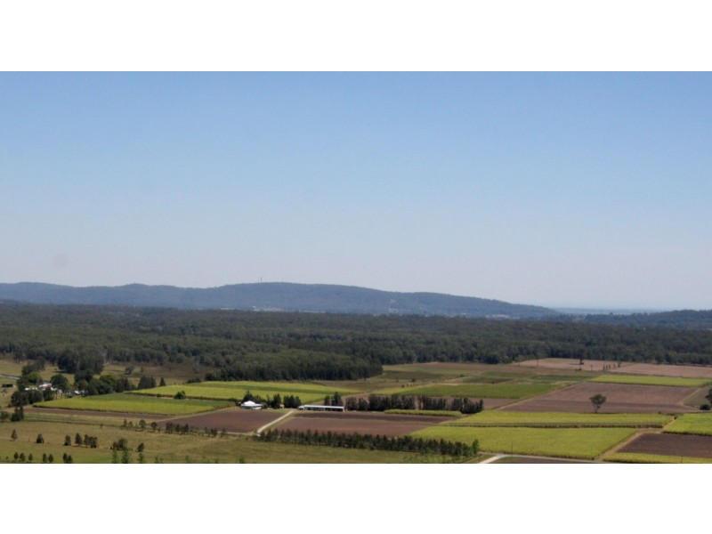 156 Amos Lane, Palmers Channel NSW 2463