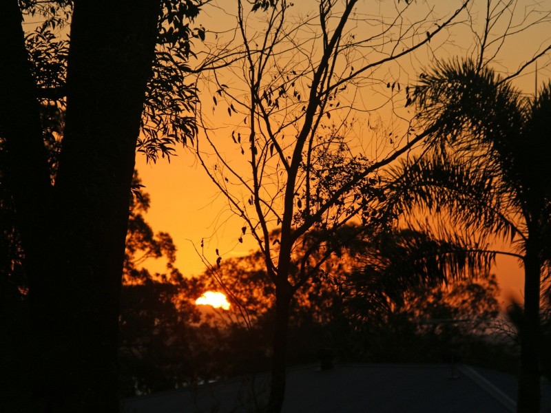 143 Patemans Road, Ashby NSW 2463