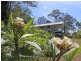 143 Patemans Road, Ashby NSW 2463
