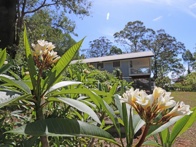 143 Patemans Road, Ashby NSW 2463