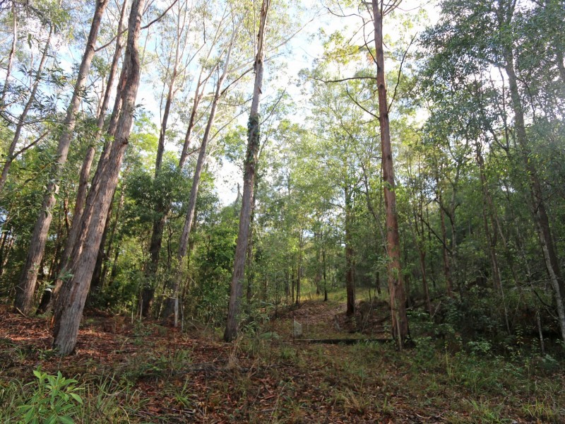 Lot 68 Ashby-Tullymorgan Road, Ashby NSW 2463