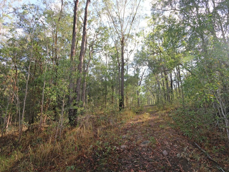 Lot 68 Ashby-Tullymorgan Road, Ashby NSW 2463