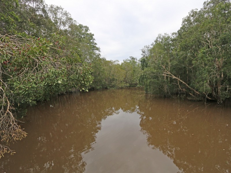 425 Tullymorgan Road, Lawrence NSW 2460