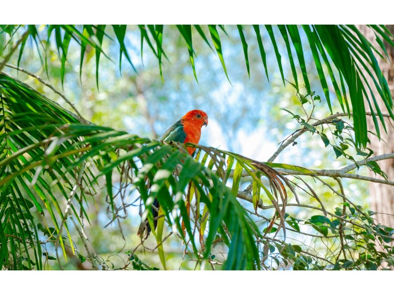 13 Pottery Lane, Woombah NSW 2469