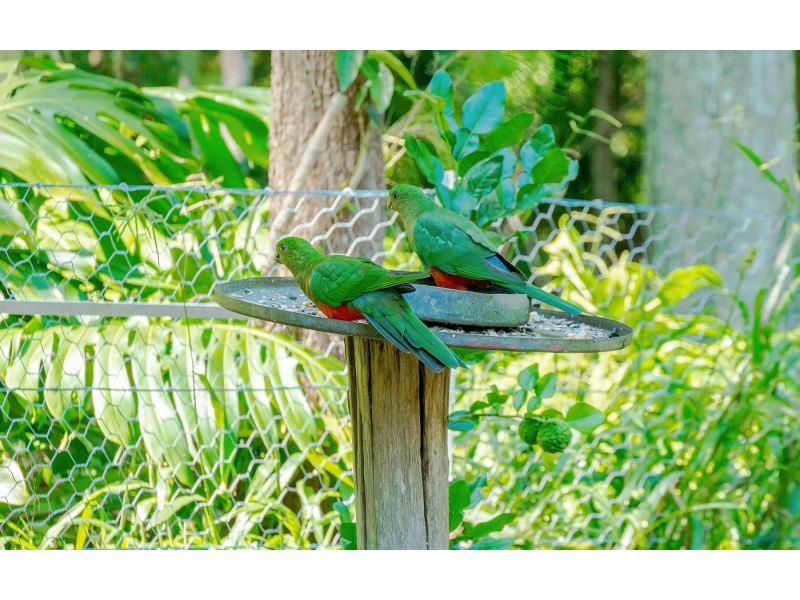 13 Pottery Lane, Woombah NSW 2469