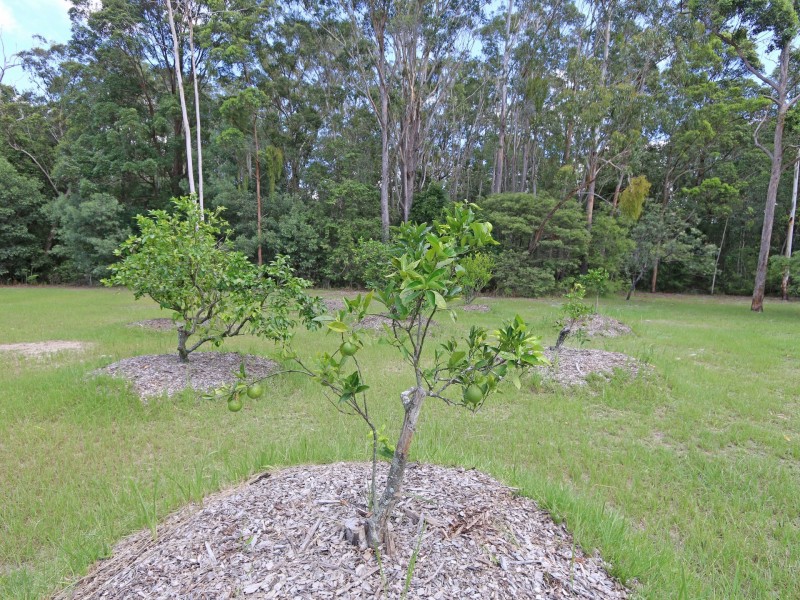 Lot 11 Old Murrayville Road, Ashby Heights NSW 2463