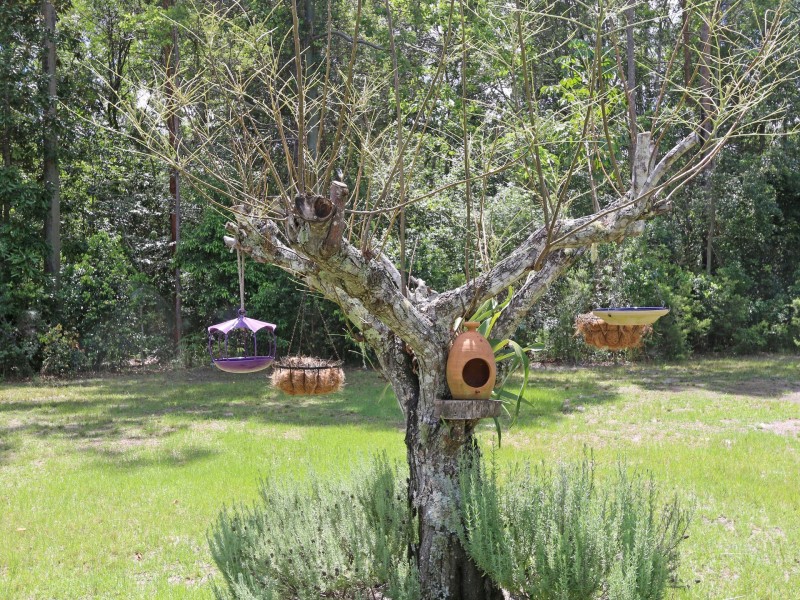 Lot 11 Old Murrayville Road, Ashby Heights NSW 2463