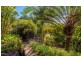 12 Dunoon Crescent, Maclean NSW 2463