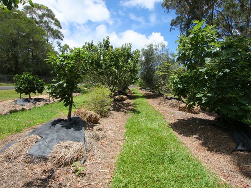 2a Forest Way, Woombah NSW 2469