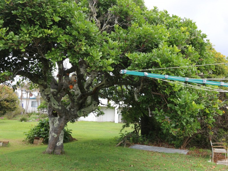 82 Ocean Road, Brooms Head NSW 2463
