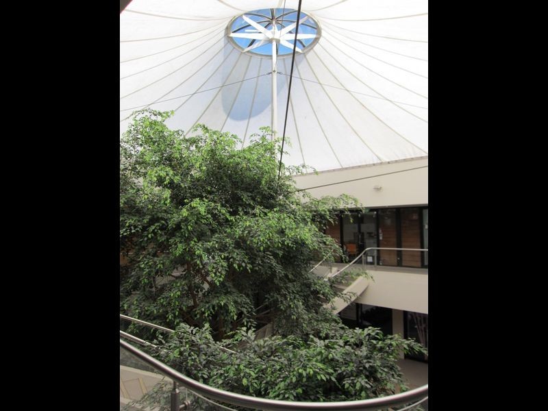 6/36-38 Corinna Street, Phillip ACT 2606