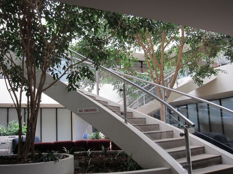 6/36-38 Corinna Street, Phillip ACT 2606