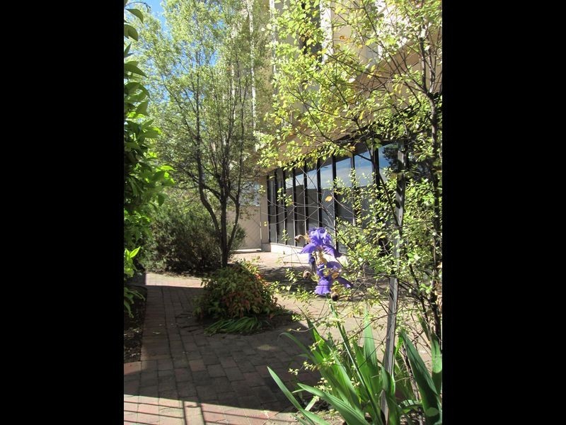 6/36-38 Corinna Street, Phillip ACT 2606