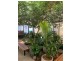 Unit 8, Level 1/48 Corinna Street, Phillip ACT 2606