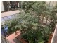Unit 8, Level 1/48 Corinna Street, Phillip ACT 2606