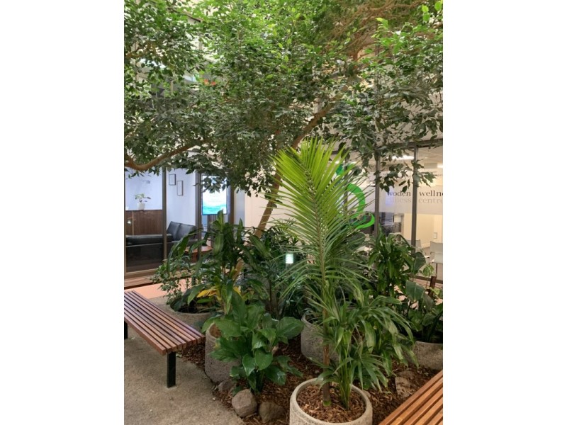 Unit 8, Level 1/48 Corinna Street, Phillip ACT 2606