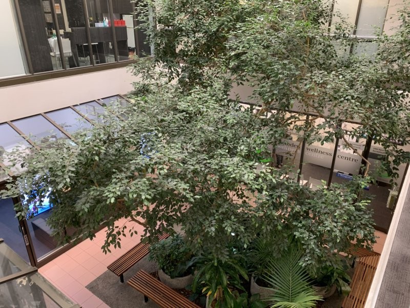 Unit 8, Level 1/48 Corinna Street, Phillip ACT 2606