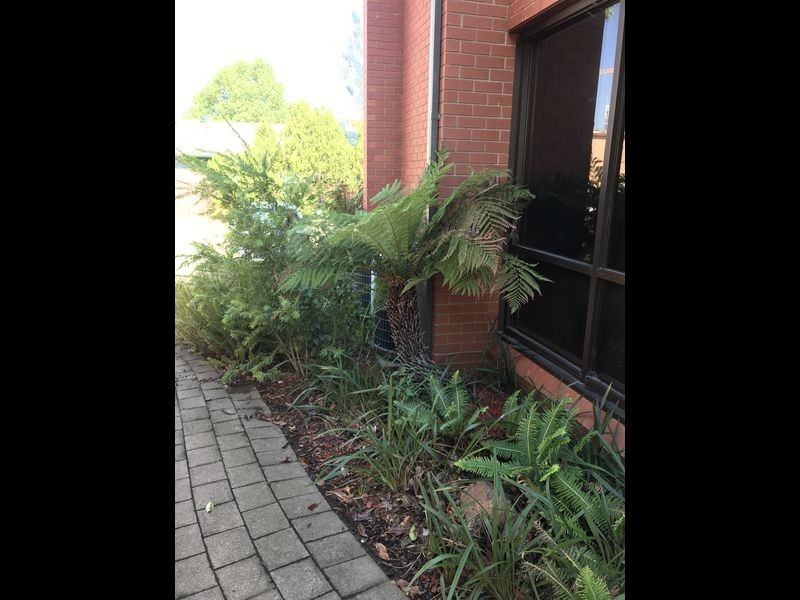 First Floor/9 Torrens Street, Braddon ACT 2612