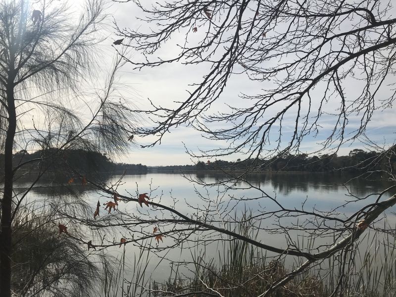 11/114 Emu Bank, Belconnen ACT 2617