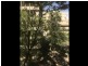 Unit 1C Level 3/17-21 University Avenue, City ACT 2601