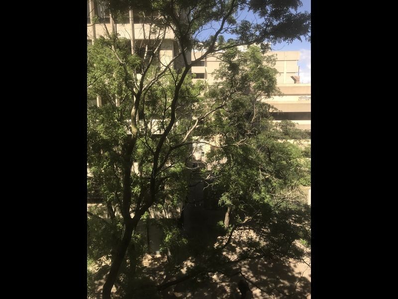 Unit 1C Level 3/17-21 University Avenue, City ACT 2601