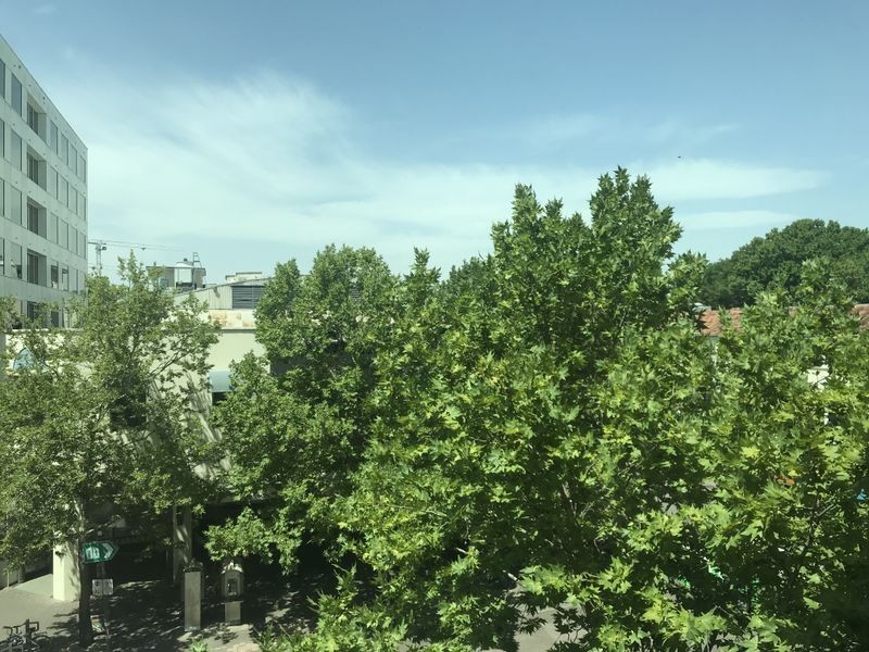 Level 2/2 Mort Street, City ACT 2601