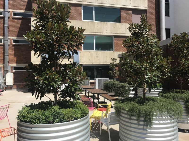 Level 2/2 Mort Street, City ACT 2601