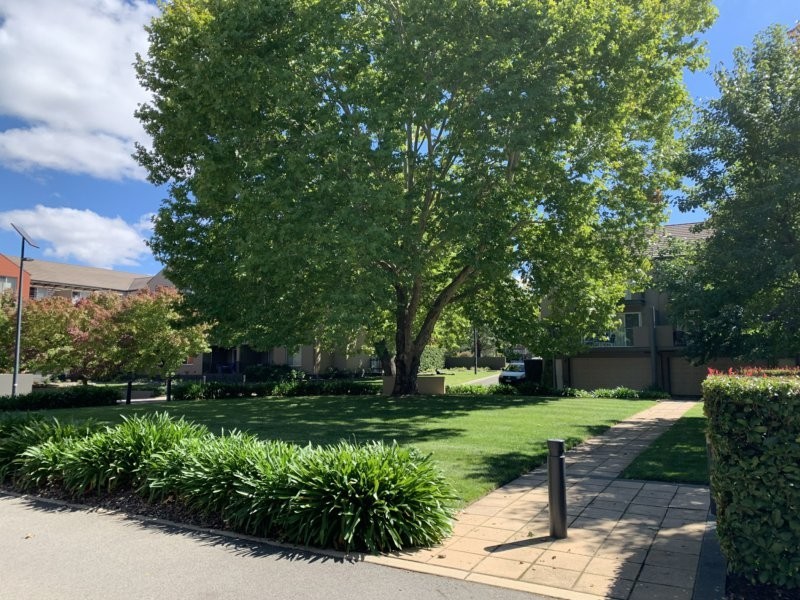 Unit 62/56 Bluebell Street, O’connor ACT 2602