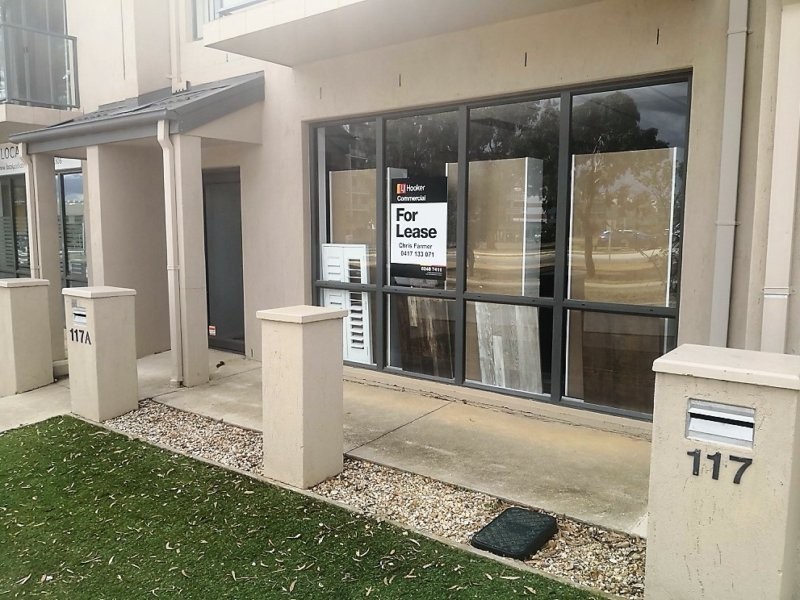 117 Anthony Rolfe Avenue, Gungahlin ACT 2912