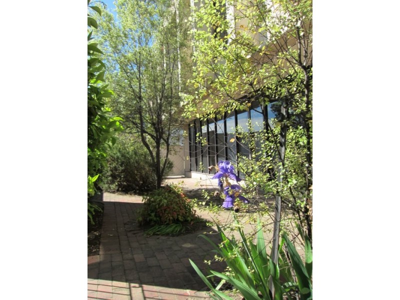 Unit Multiple Units/36-38 Corinna Street, Phillip ACT 2606