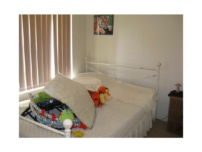 41-53 Leopardwood Road, Cedar Grove QLD 4285