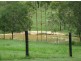 1053 Teviot Road, South Maclean QLD 4280