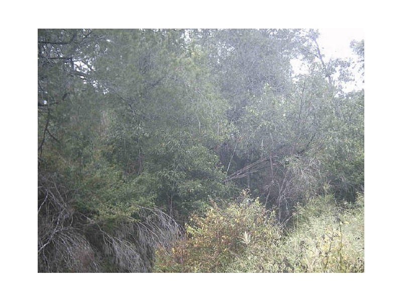 327-337 Edelsten Road, Jimboomba QLD 4280