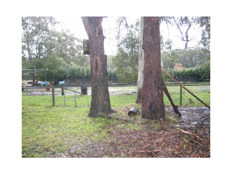 55 Huntly Road, Bensville NSW 2251